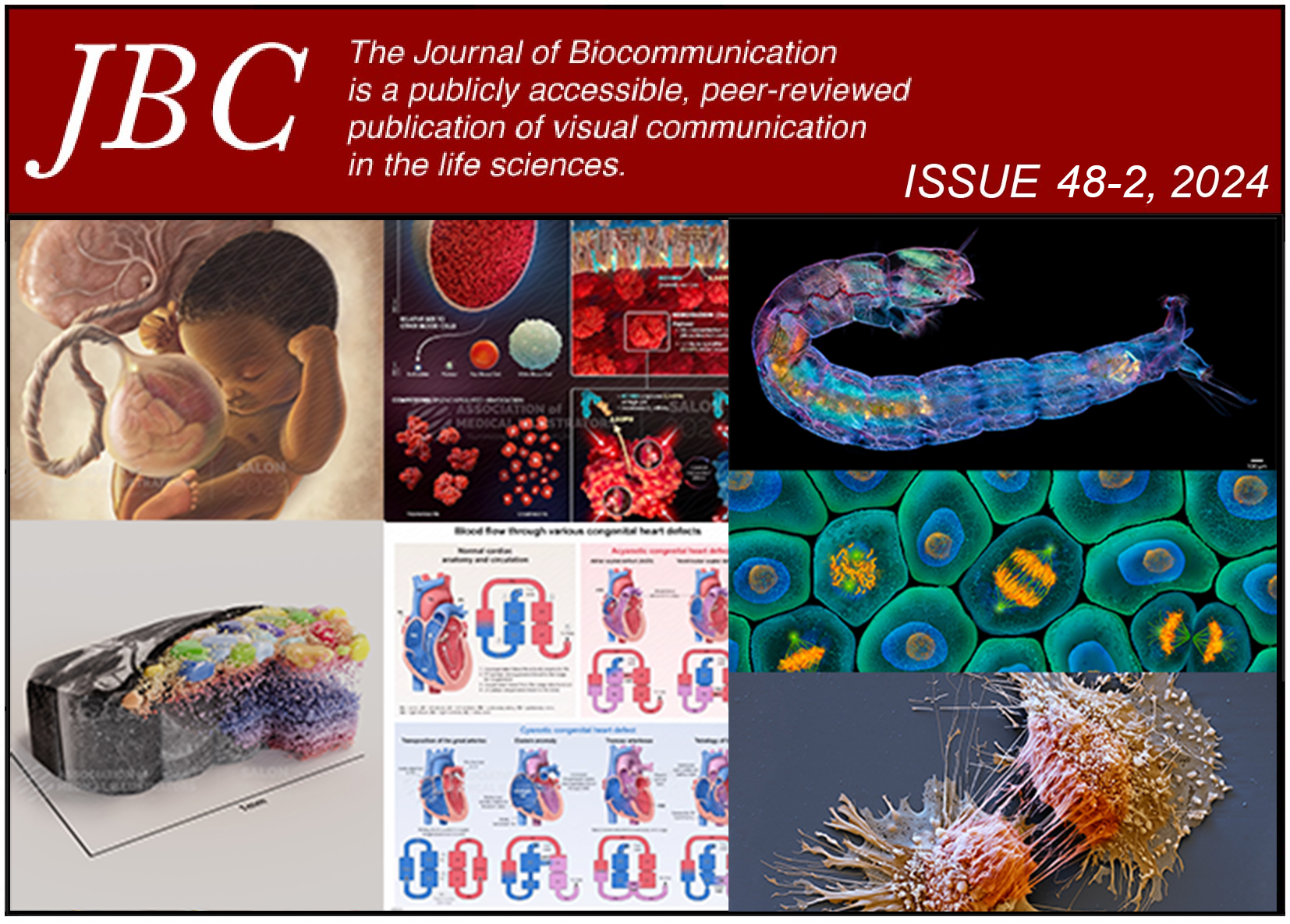 JBC Issue 48-2 journal cover.